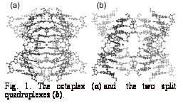 Text Box:  Fig. 1. The octaplex (a) and the two split quadruplexes (b).
